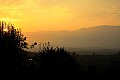 0176 Rwenzori Mountains