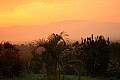 0177 Rwenzori Mountains