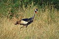 0206 Murchison Falls N.P.
