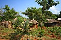 0228 Murchison Falls N.P.