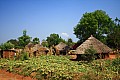 0229 Murchison Falls N.P.