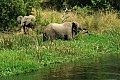 0236 Victoria Nile