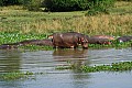 0241 Victoria Nile