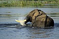 0250 Victoria Nile