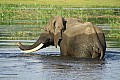 0251 Victoria Nile