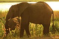 0253 Victoria Nile