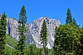 018 Yosemite NP