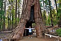 030 Yosemite NP
