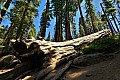 032 Kings Canyon NP