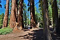 033 Kings Canyon NP