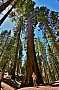 034 Kings Canyon NP