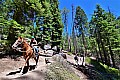 035 Kings Canyon NP