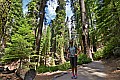 044 Sequoia NP
