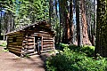051 Sequoia NP