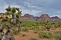 091 Red Rock Canyon SP