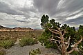 094 Red Rock Canyon SP