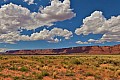 134 Marble Canyon