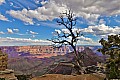 139 Gran Canyon - North Rim