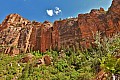 165 Zion NP