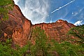 167 Zion NP