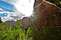 170 Zion NP