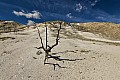 263 Yellowstone NP