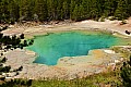 269 Yellowstone NP