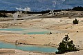 270 Yellowstone NP