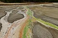 272 Yellowstone NP