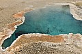 275 Yellowstone NP