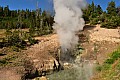 281 Yellowstone NP