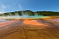 287 Yellowstone NP