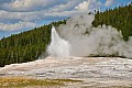 293 Yellowstone NP