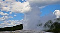 294 Yellowstone NP