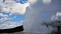 295 Yellowstone NP