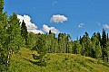 304 Grand Teton NP