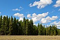 305 Grand Teton NP