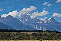 309 Grand Teton NP