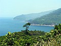 Mandarin Road-0002